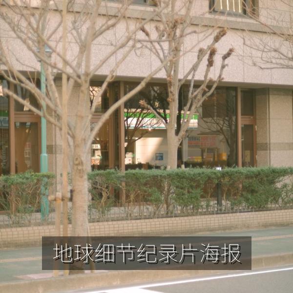 地球细节纪录片海报